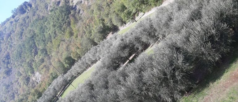 Ispirazione