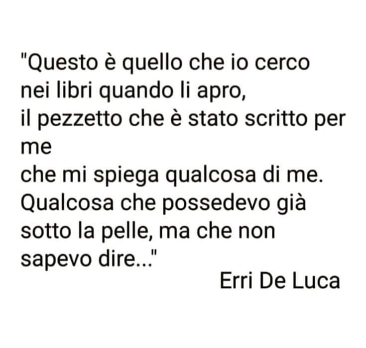 frasedelucaweb frasedelucaweb